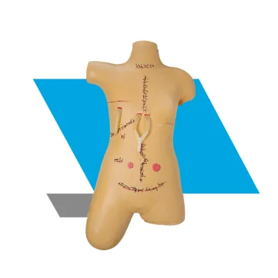 MODELO DE DEMONSTRAÇÃO DE PELVIMETRIA E TRATAMENTO DE FERIMENTOS