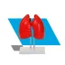 MODELO PULMONAR DIDÁTICO EM 04 PARTES