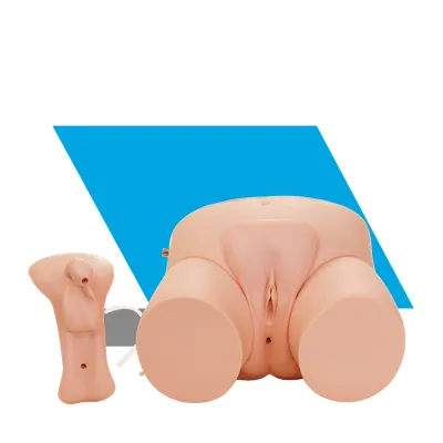 MODELO URINÁRIO ELETRÔNICO PARA TREINAMENTO DE CATETERISMO 