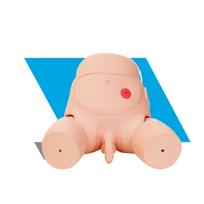 SIMULADOR DE CATETERISMO URETRAL MASCULINO AVANÇADO